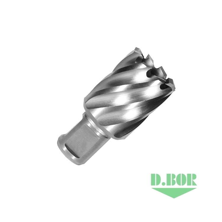 Сверло D.BOR по металлу, корончатое с хв. Weldon 19 мм (3/4'') HSS-Co 12*30/55